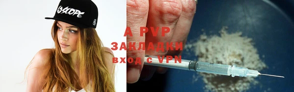 прущие грибы Кинешма
