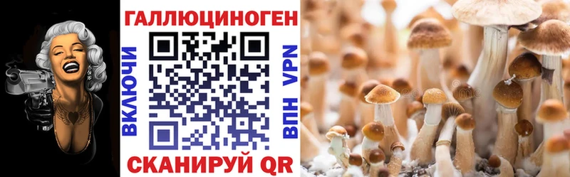 Галлюциногенные грибы Psilocybine cubensis  Железногорск 