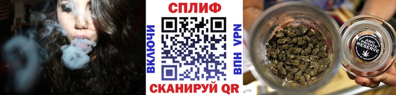 Канабис сатива  Железногорск 